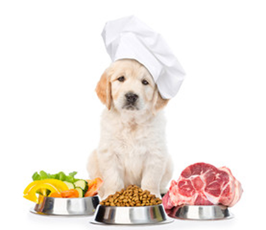 A nutritious and healthy diet Foods to Avoid Happy Hounds